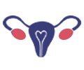 Uterine Cavity Assessment
